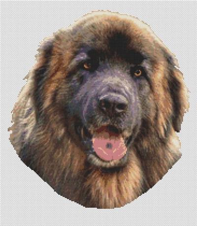 (image for) Leonberger